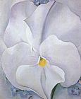 White Canvas Paintings - White Pansy